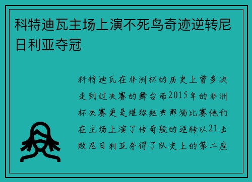 科特迪瓦主场上演不死鸟奇迹逆转尼日利亚夺冠